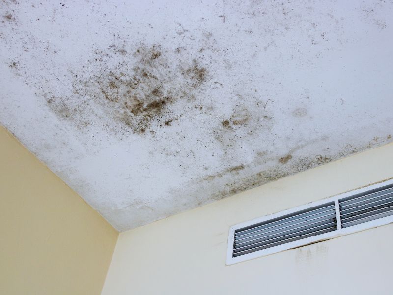 Mold Removal and Remediation in Eatonton GA
